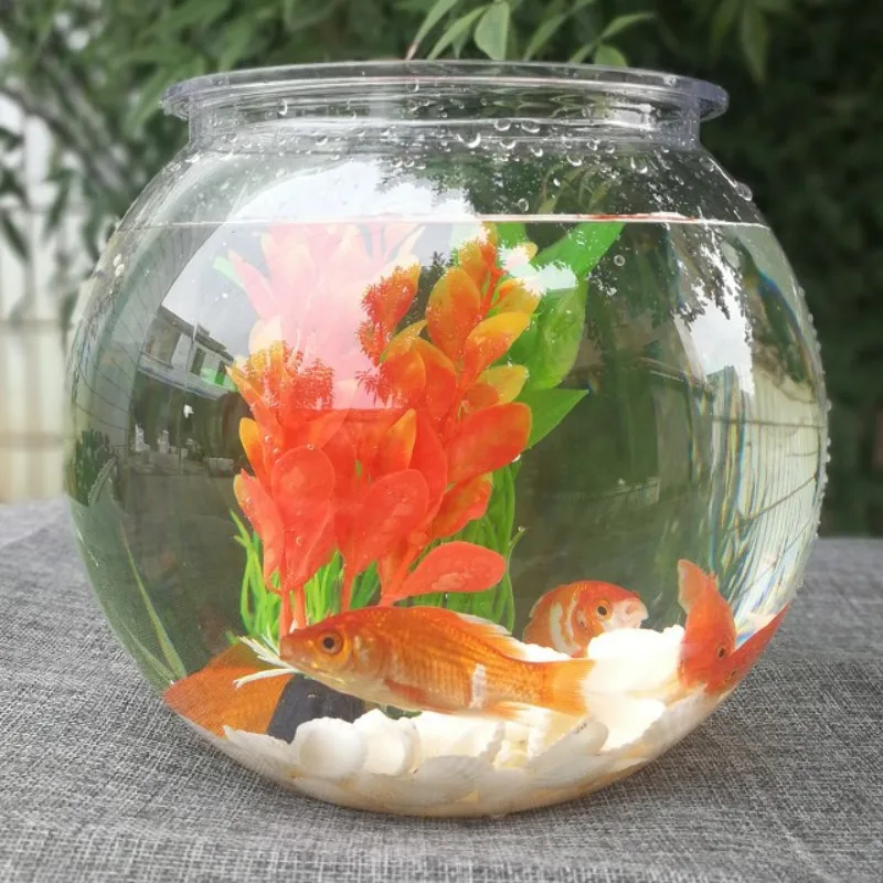 Planted Aquarium For Goldfish - Goldfish bowl desktop transparent plastic aquarium