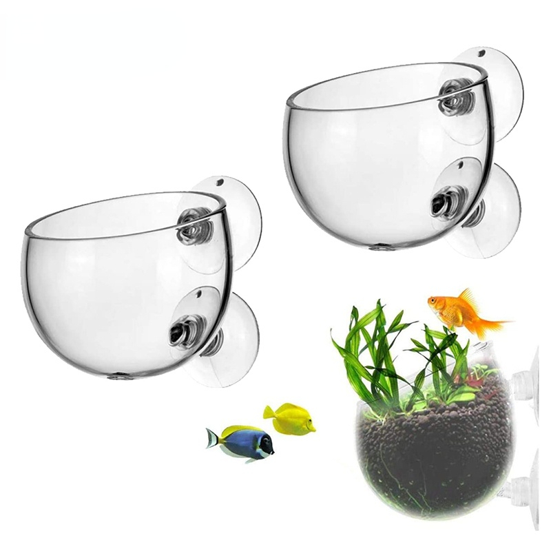 Aquarium Plant Seeds - New Aquarium Plant Pot Glass Cylinder
