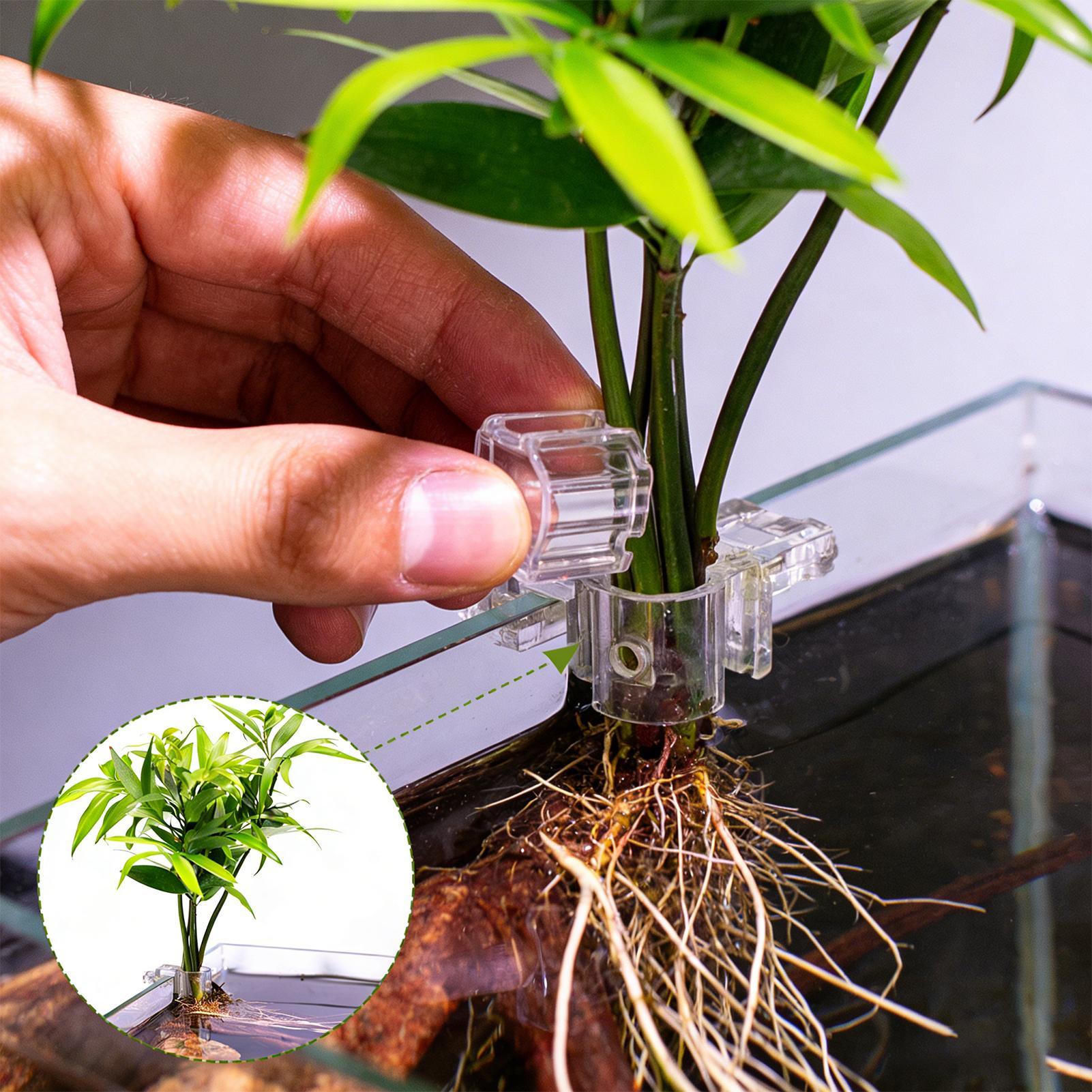 Aquarium Plant Ornament - 6pcs Aquarium Plant Holders Clear Planting