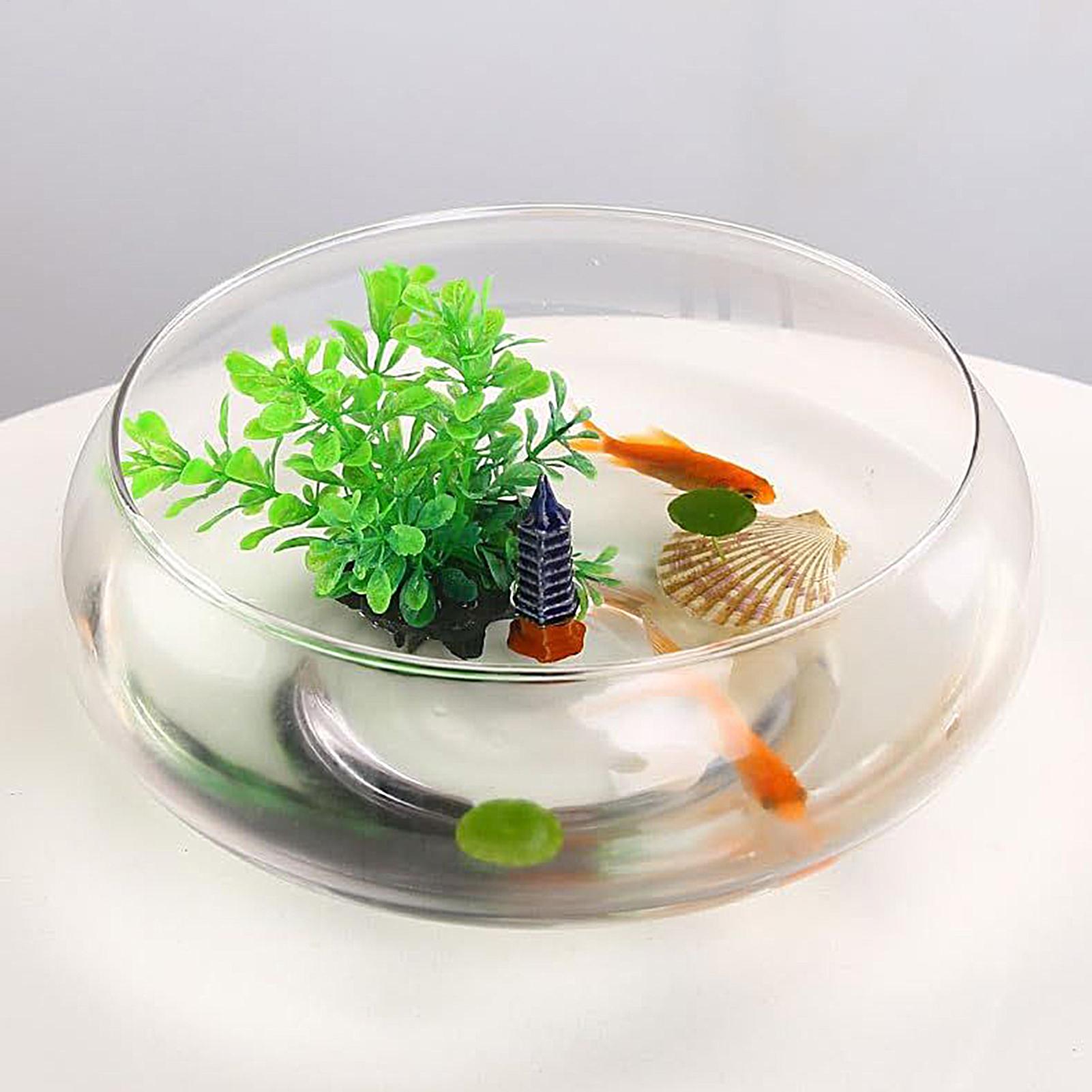 Planted Aquarium For Goldfish - Fish Glass Bowl Glass Large Hydroponics