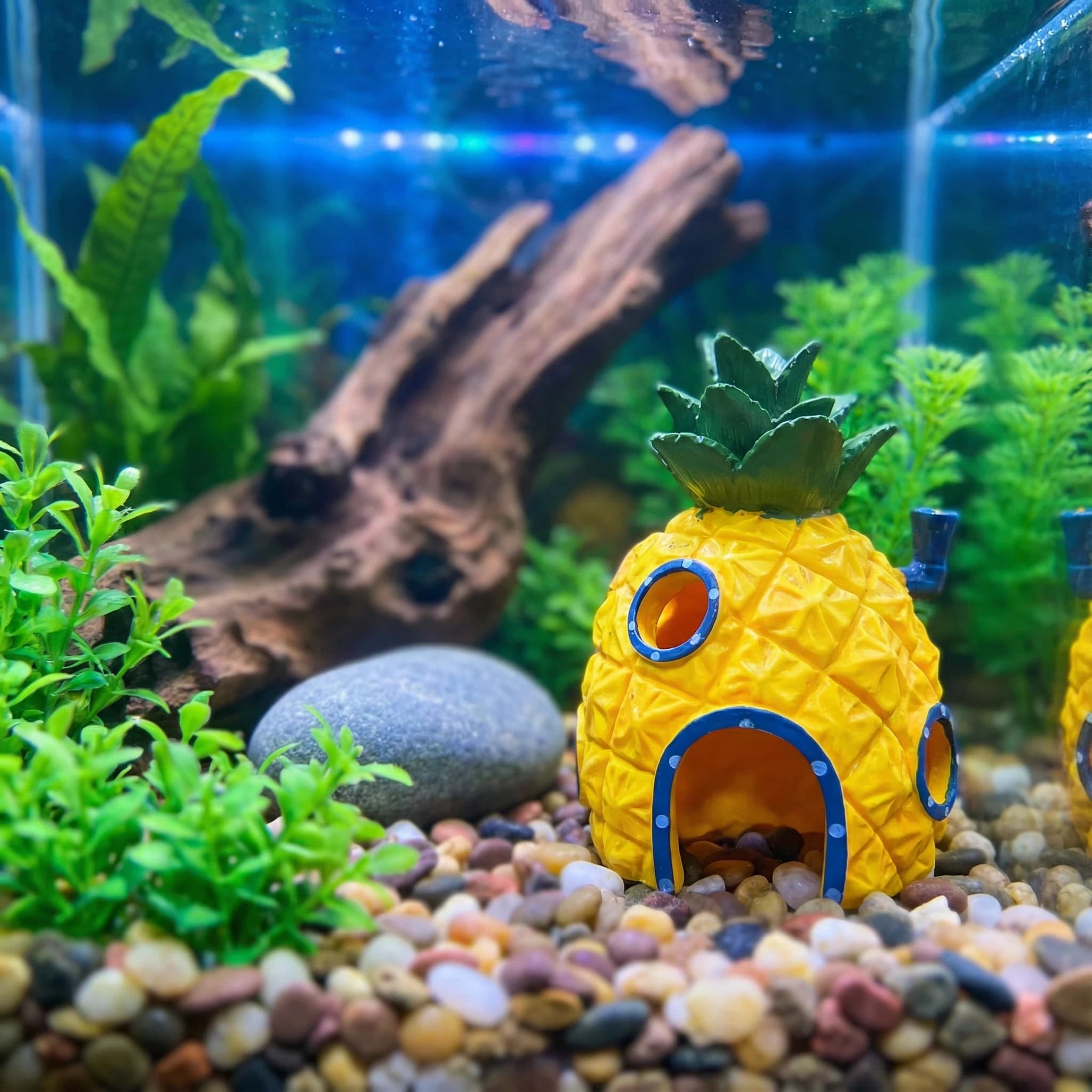Aquarium Plant Ornament - Pineapple House Aquarium Decor， Eco-Friendly Resin