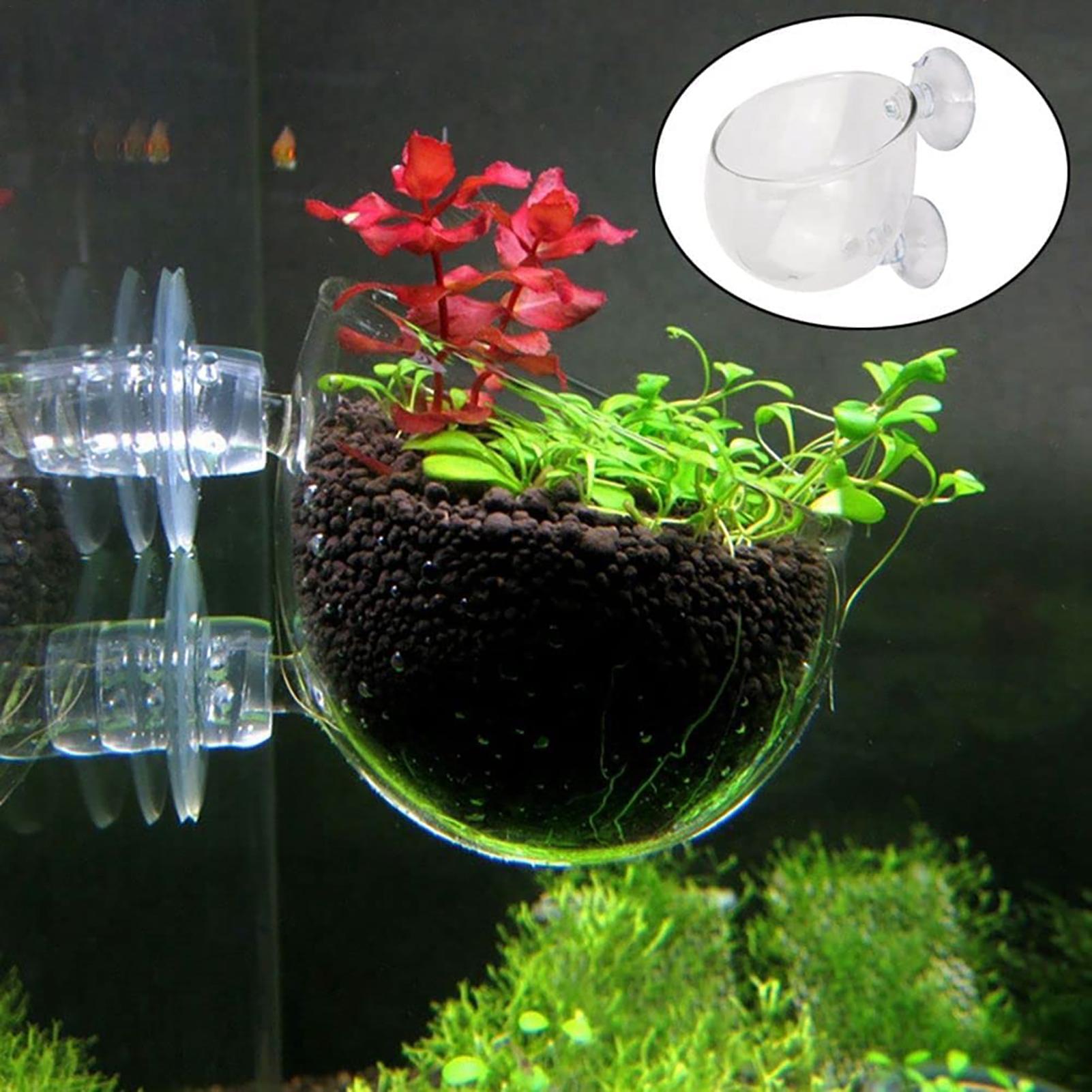 Aquarium Plant Pot Glass Cylin - Aquarium Plant Seeds recension och pris