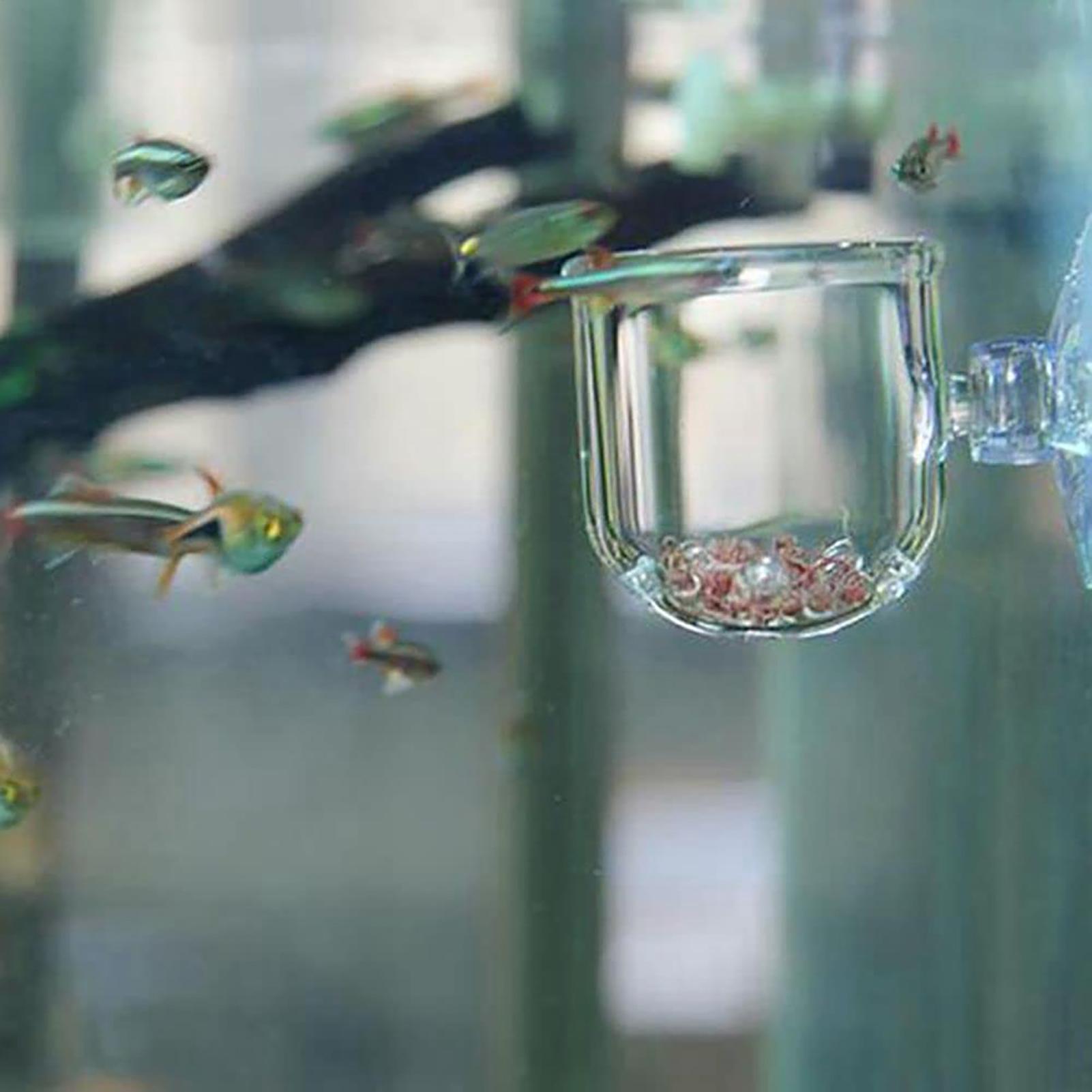 Aquarium Plant Pot Glass Cylin - Aquarium Plant Seeds recension och pris