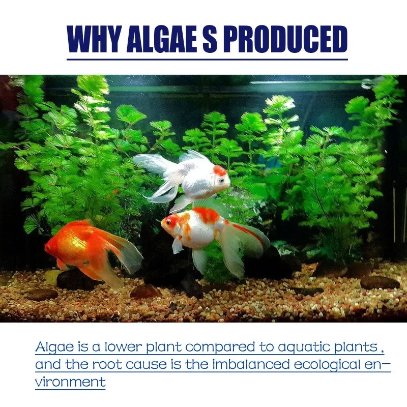 50g High Efficiency Algaecide  - Planted Aquarium Fertilizer recension och pris