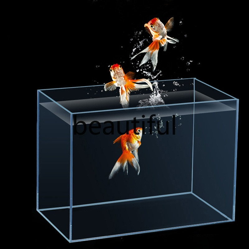 Jinjing ultra-white glass fish - Planted Aquarium For Goldfish recension och pris