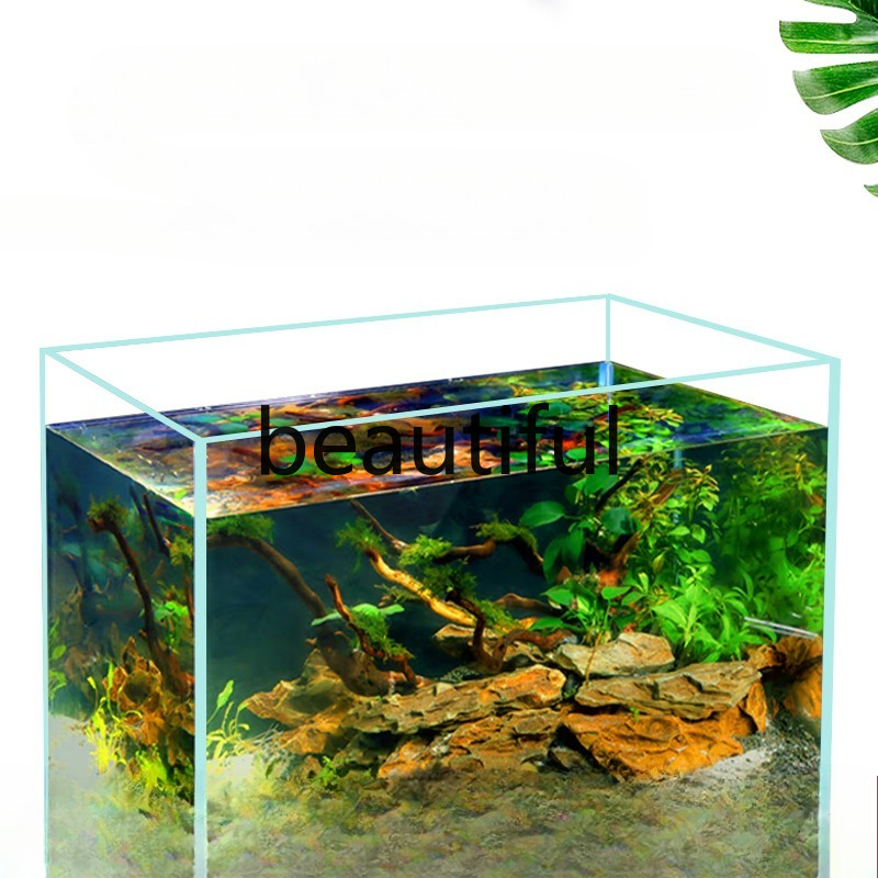 Jinjing ultra-white glass fish - Planted Aquarium For Goldfish recension och pris