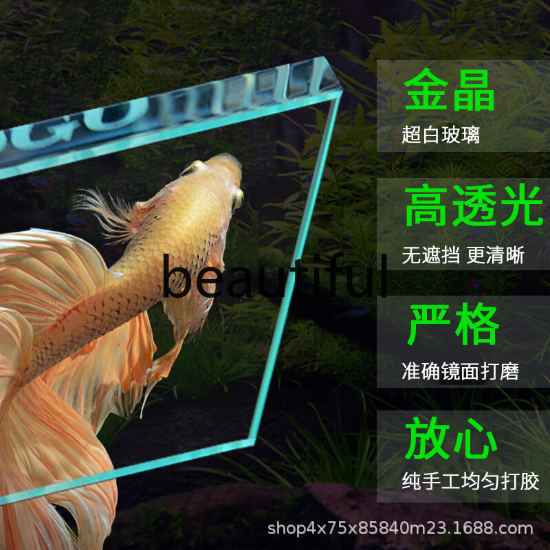 Jinjing ultra-white glass fish - Planted Aquarium For Goldfish recension och pris