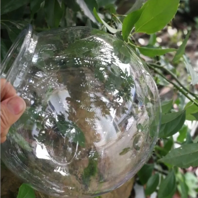Goldfish bowl desktop transpar - Planted Aquarium For Goldfish recension och pris