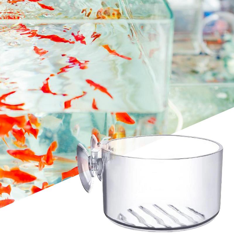 Aquarium Plant Pot Glass Cylin - Aquarium Plant Seeds recension och pris