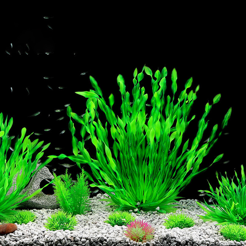 13/23/32/36/40cm Aquarium Arti - Aquarium Plant Seeds recension och pris