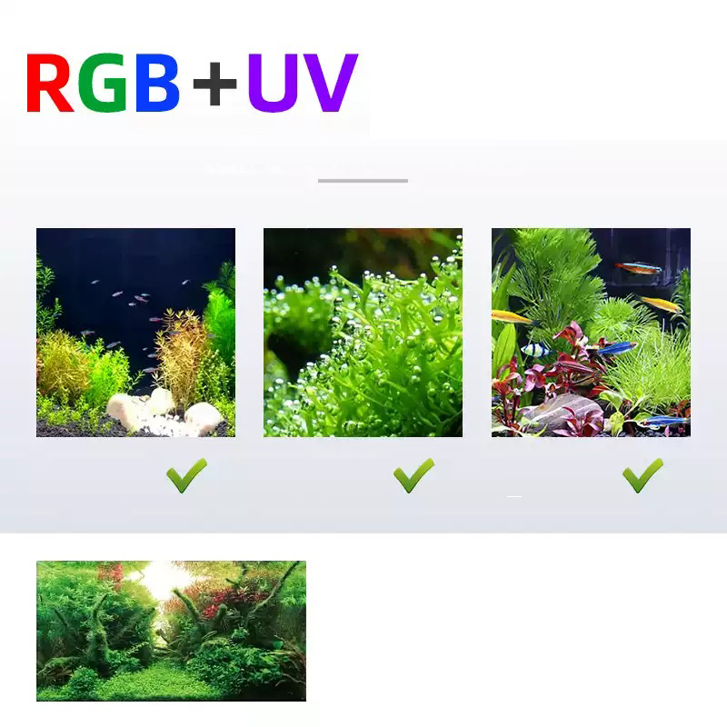 Week Aqua L Series WRGB UV Ful - Planted Aquarium Uv Light recension och pris