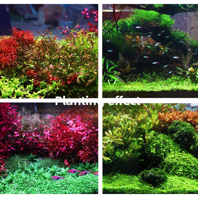 SYSENCIAGA Planted Aquarium Su - Planted Aquarium Fertilizer recension och pris