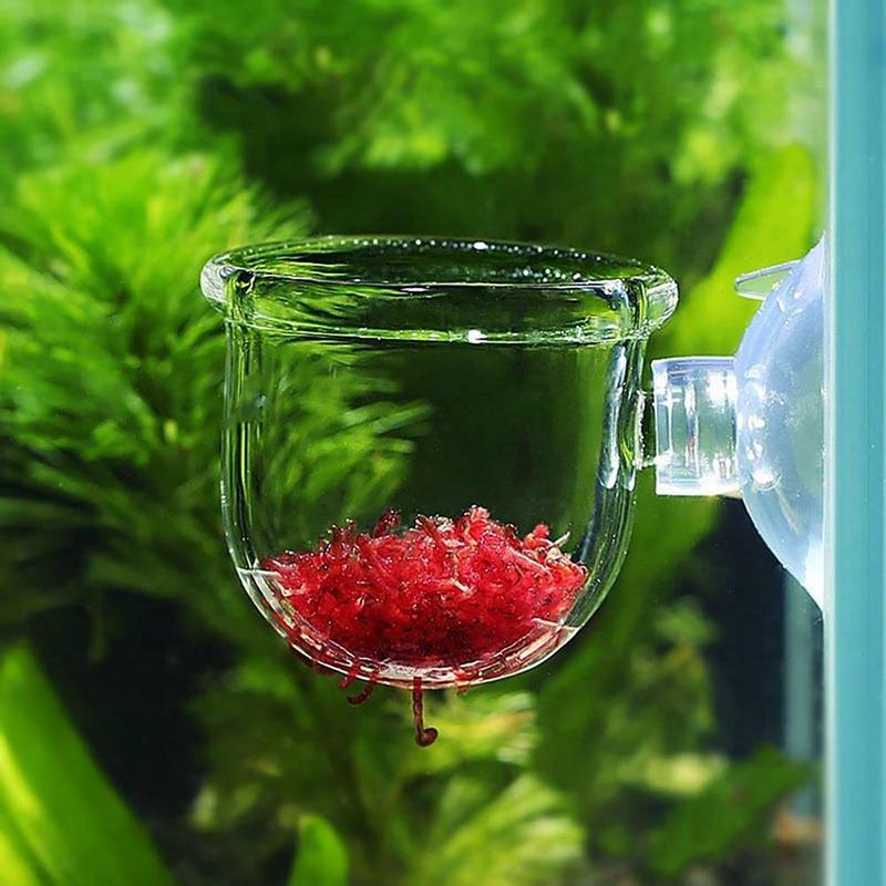 Acrylic Aquatic Plant Cup Aqua - Aquarium Plant Seeds recension och pris