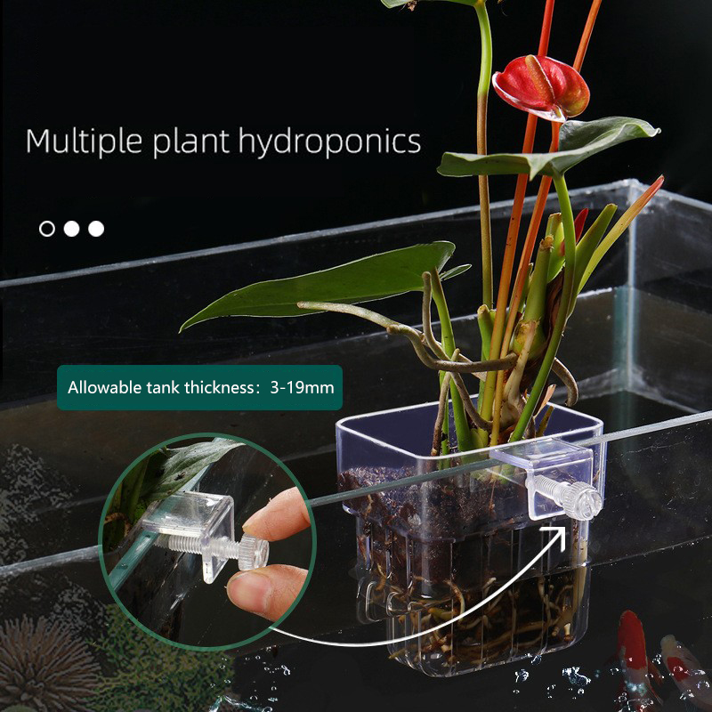 1Pc Aquarium Hydroponic Plant  - Aquarium Plant Seeds recension och pris