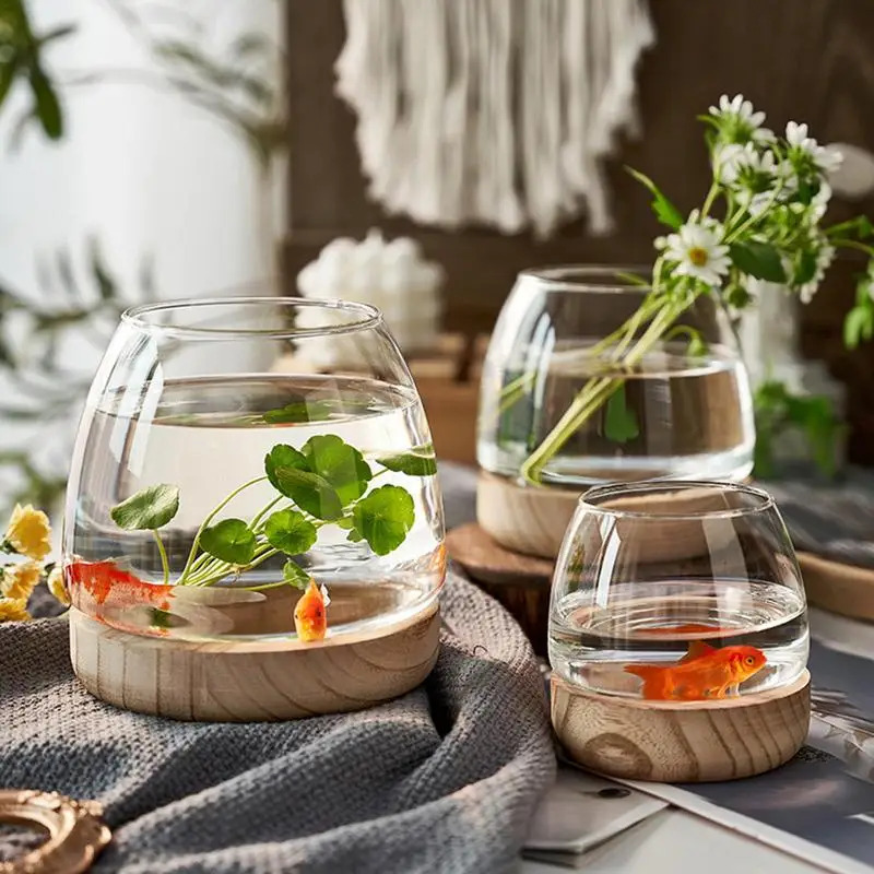 Decorative Round Glass Fish Ta - Planted Aquarium For Goldfish recension och pris