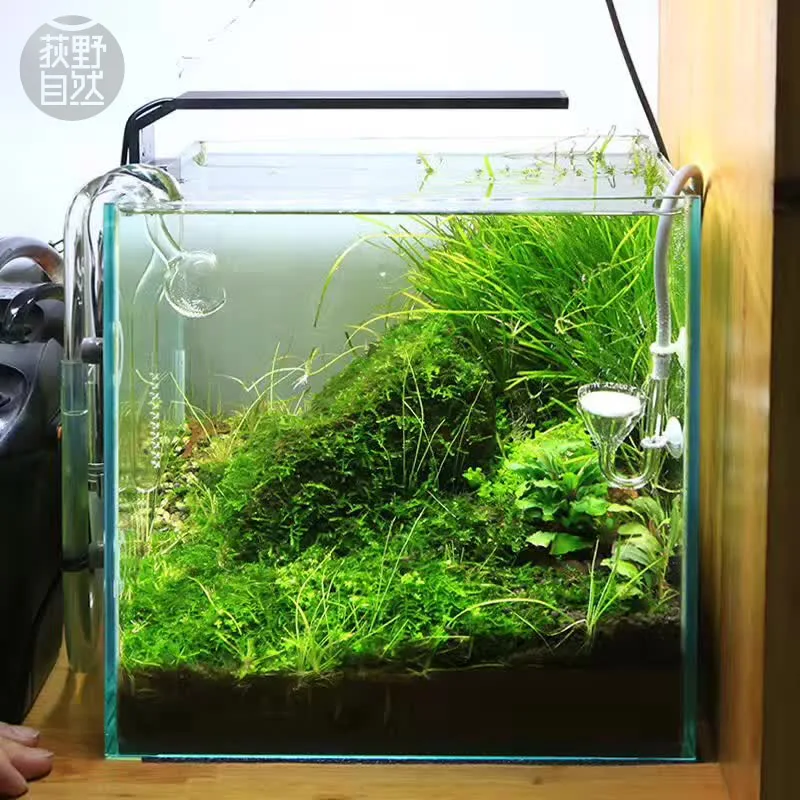Chihiros C Series ADA Style Pl - Aquarium Plant Ornament recension och pris