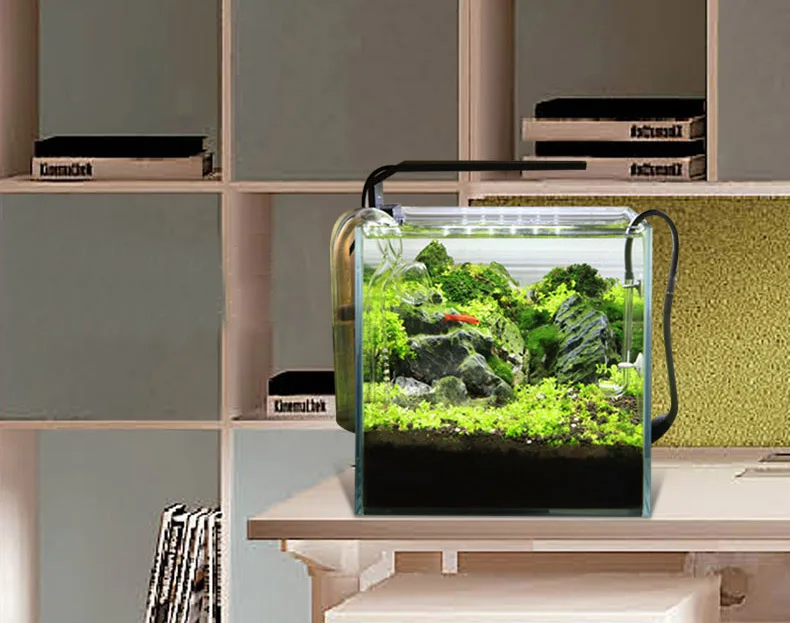 Chihiros C Series ADA Style Pl - Aquarium Plant Ornament recension och pris