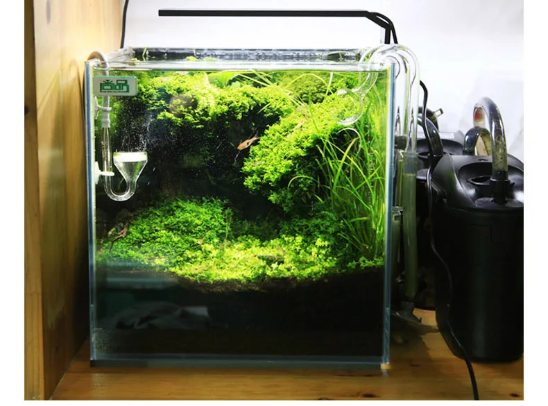 Chihiros C Series ADA Style Pl - Aquarium Plant Ornament recension och pris