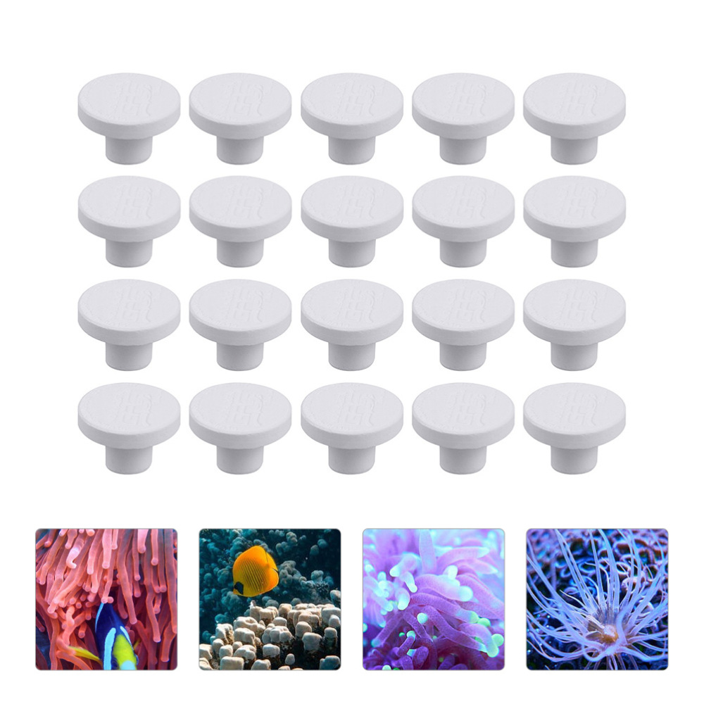 SPS Ceramic Coral Frag Plugs B - Aquarium Plant Ornament recension och pris