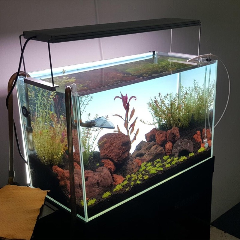 Best-Selling LED Aquarium Lamp - Planted Aquarium Best Fish recension och pris