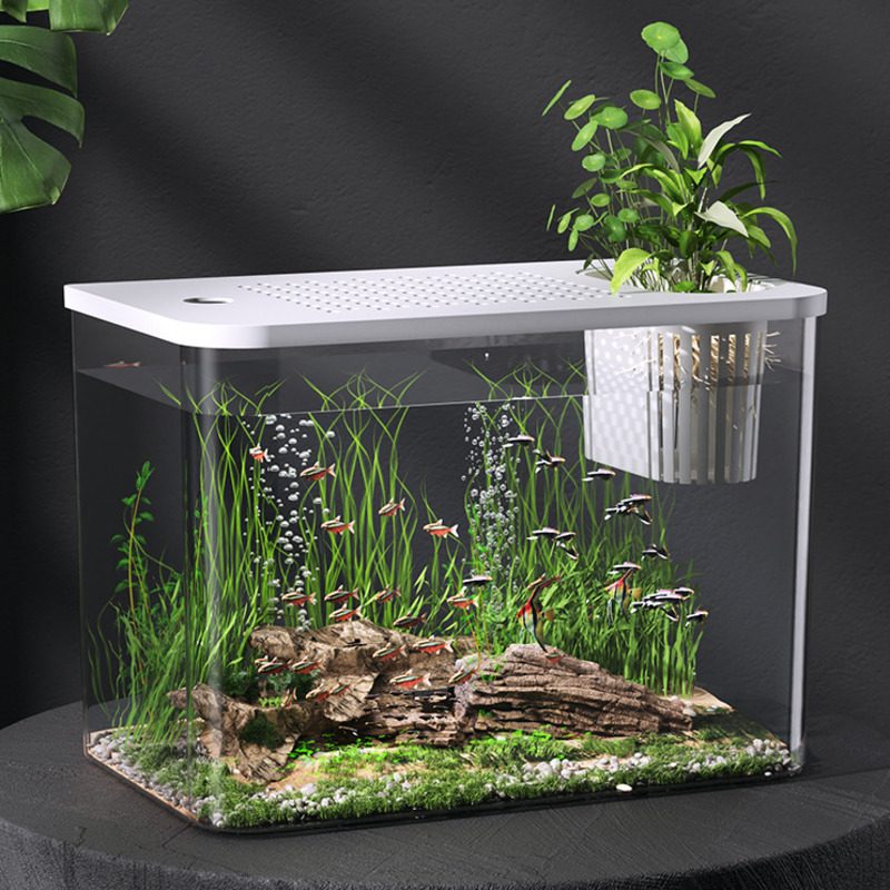 Plastic Aquarium With Lid Clea - Planted Aquarium For Goldfish recension och pris