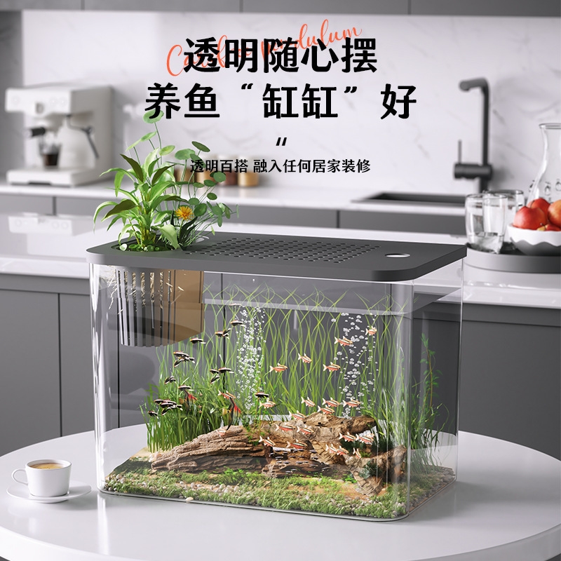 Plastic Aquarium With Lid Clea - Planted Aquarium For Goldfish recension och pris