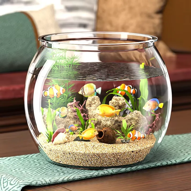 High Quality Compact Clear Pla - Planted Aquarium For Goldfish recension och pris