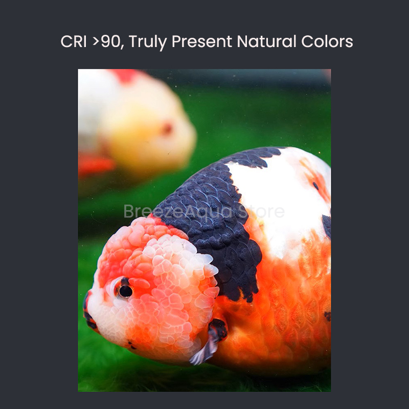 MAYIN Super Colour 100W Freshw - Planted Aquarium For Goldfish recension och pris