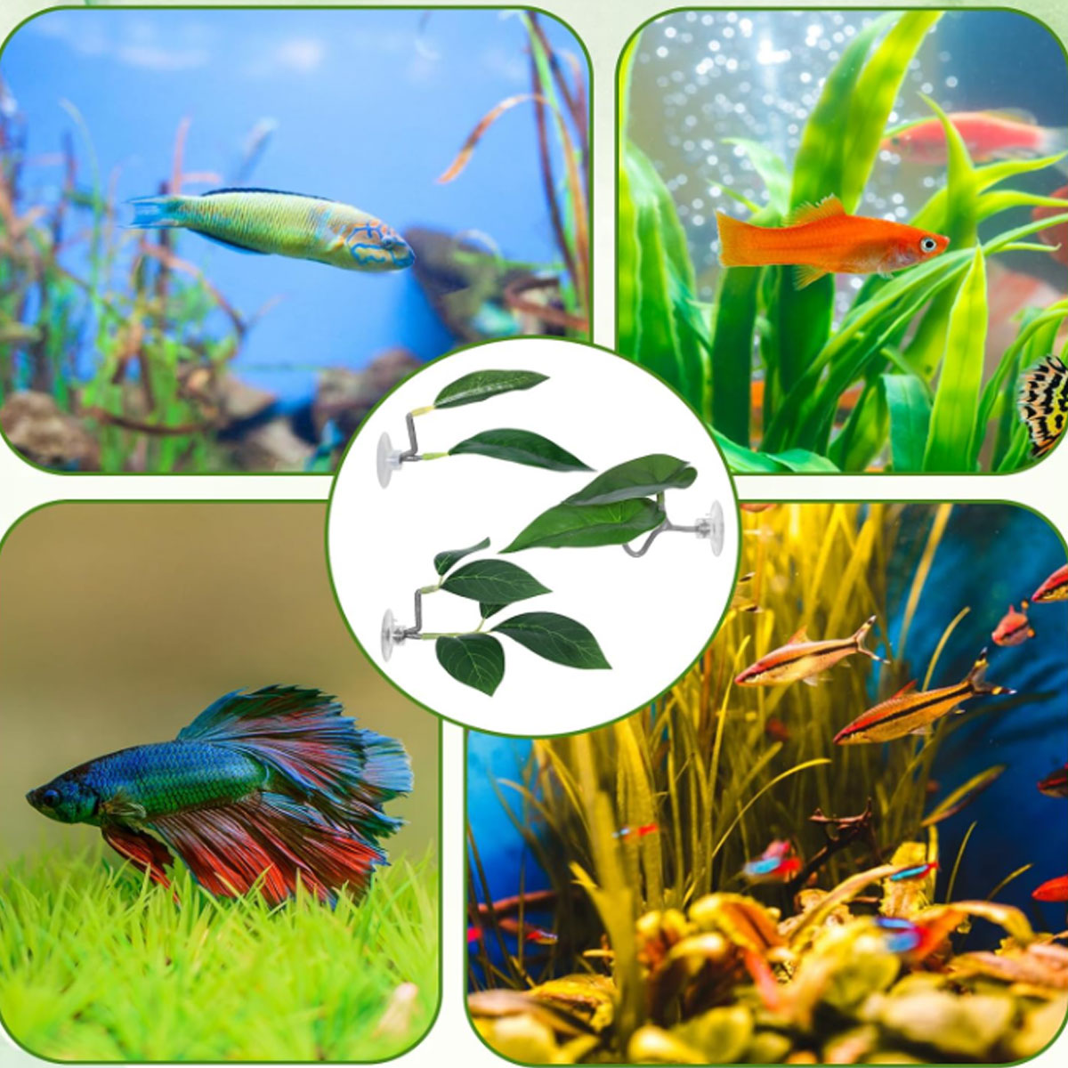 1 PC Betta Fish Hammock Soft A - Aquarium Plant Ornament recension och pris