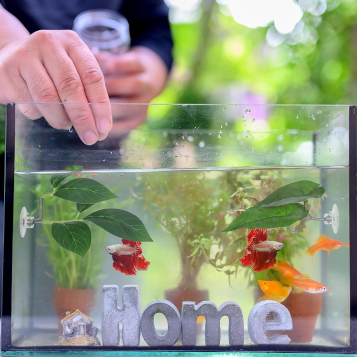 1 PC Betta Fish Hammock Soft A - Aquarium Plant Ornament recension och pris