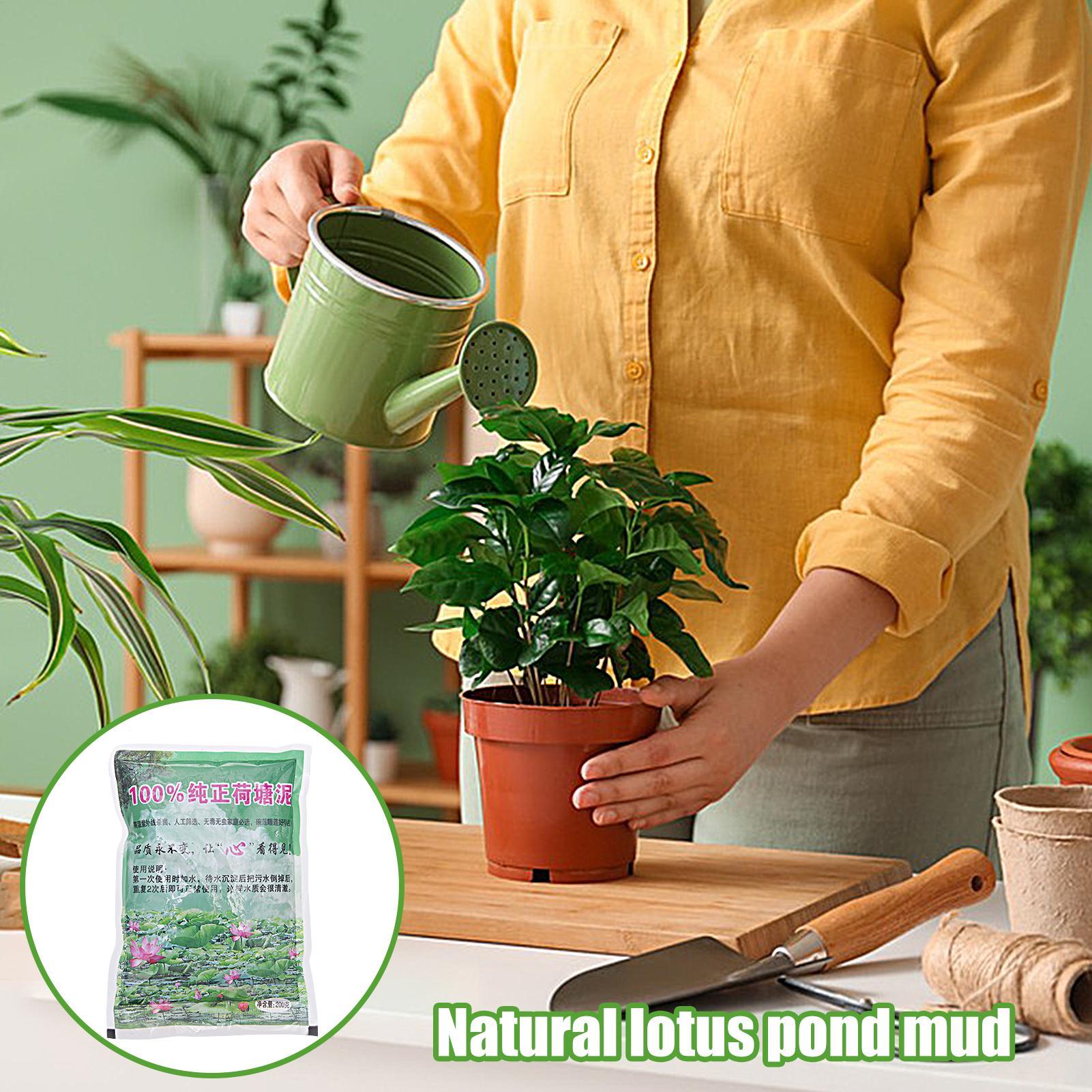 200g/bag Aquarium Soil Natural - Aquarium Plant Seeds recension och pris