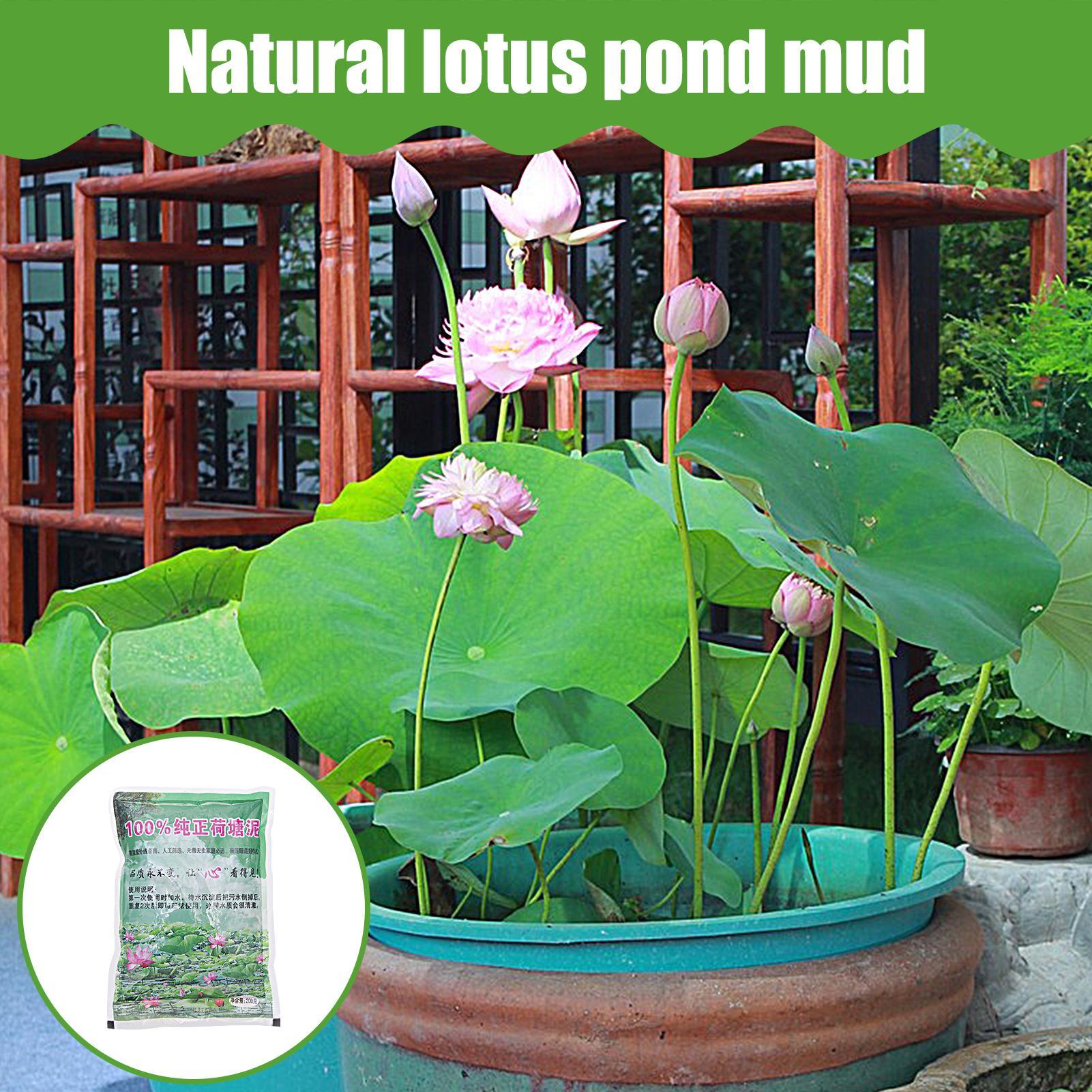 200g/bag Aquarium Soil Natural - Aquarium Plant Seeds recension och pris