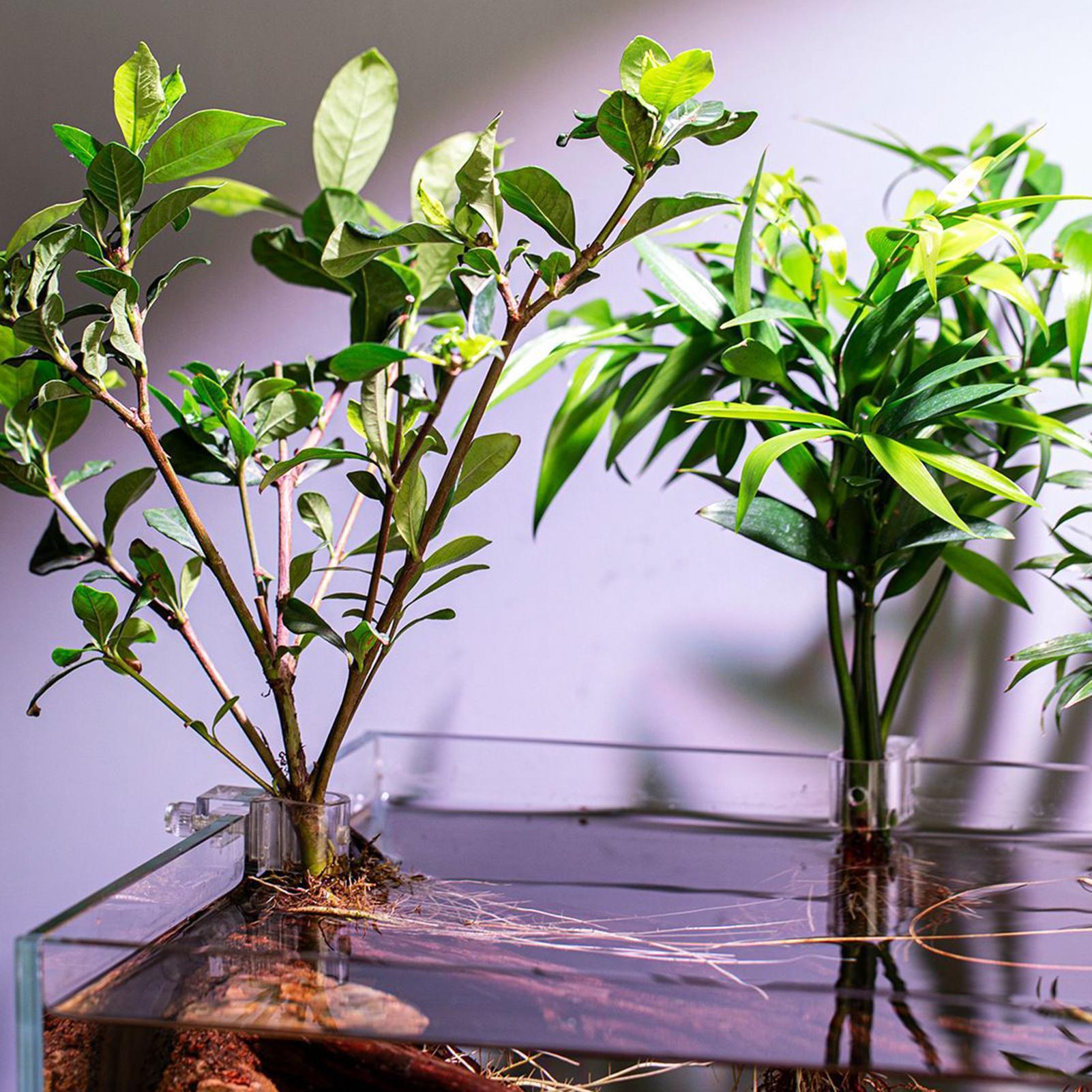 6pcs Aquarium Plant Holders Cl - Aquarium Plant Ornament recension och pris