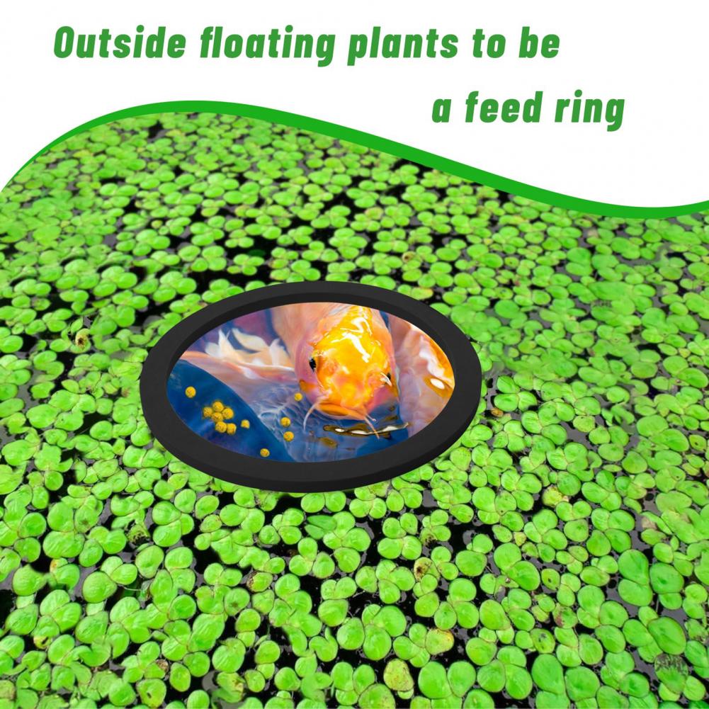 Eva Foam Floating Ring for Fis - Planted Aquarium For Goldfish recension och pris