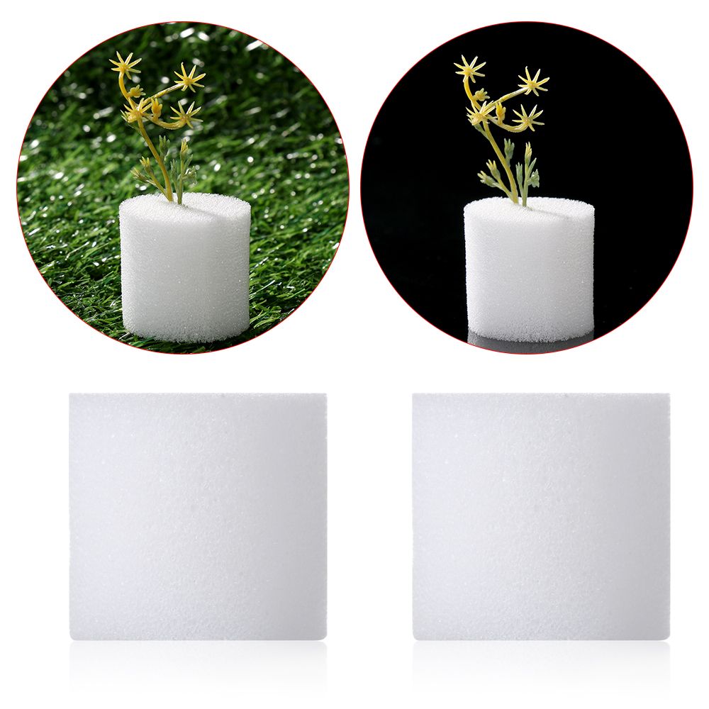 10/50pcs Durable Garden Suppli - Aquarium Plant Seeds recension och pris