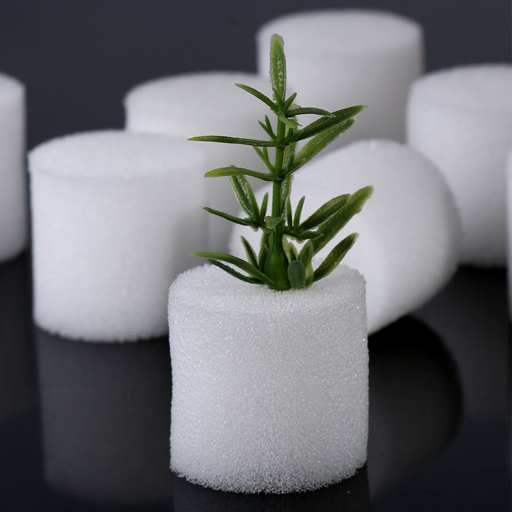 10/50pcs Durable Garden Suppli - Aquarium Plant Seeds recension och pris