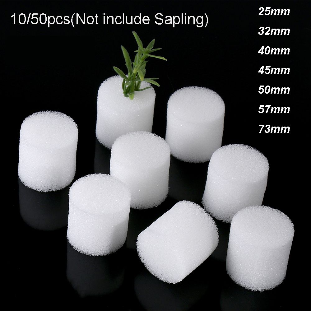 10/50pcs Durable Garden Suppli - Aquarium Plant Seeds recension och pris