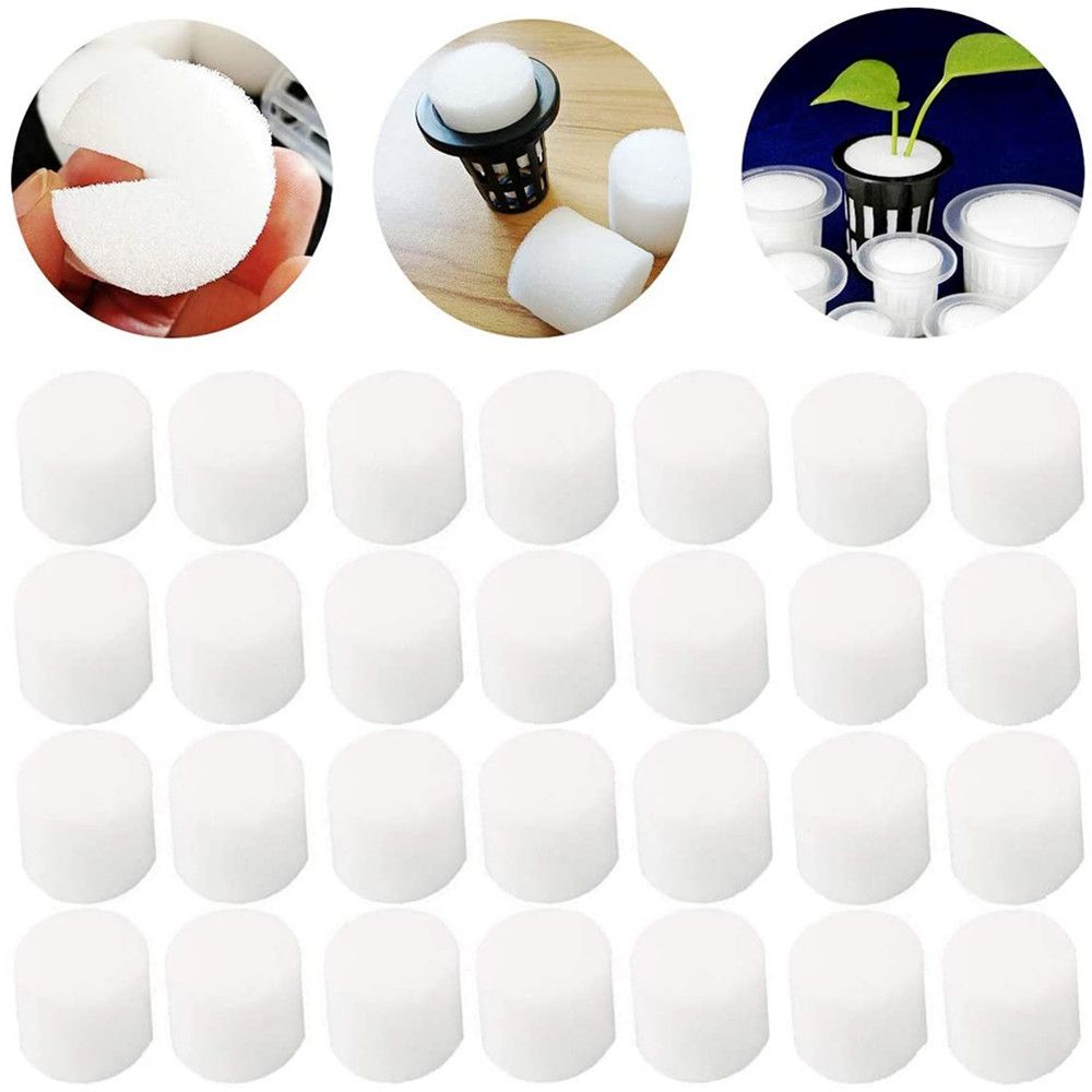 10/50pcs Durable Garden Suppli - Aquarium Plant Seeds recension och pris