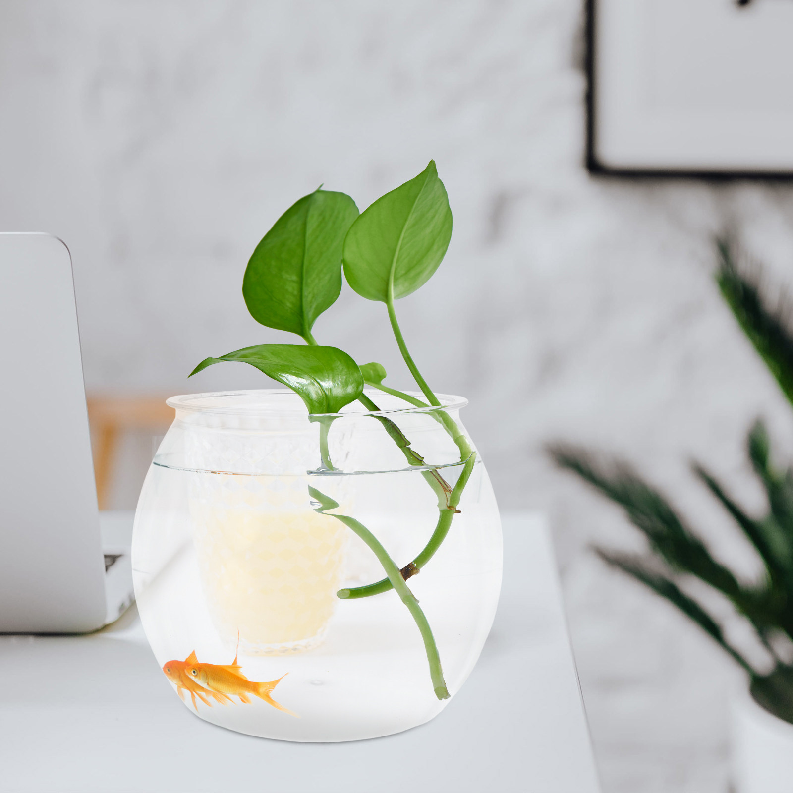 Round Shatterproof Fish Tank T - Planted Aquarium For Goldfish recension och pris