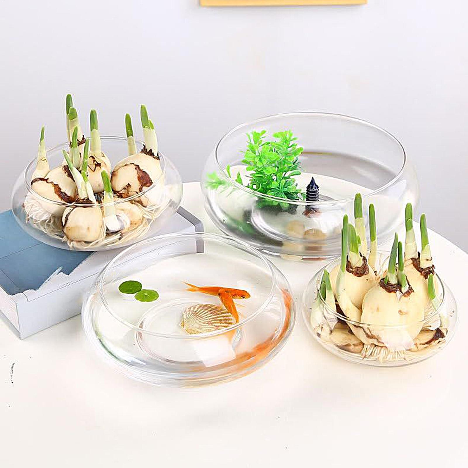 Fish Glass Bowl Glass Large Hy - Planted Aquarium For Goldfish recension och pris