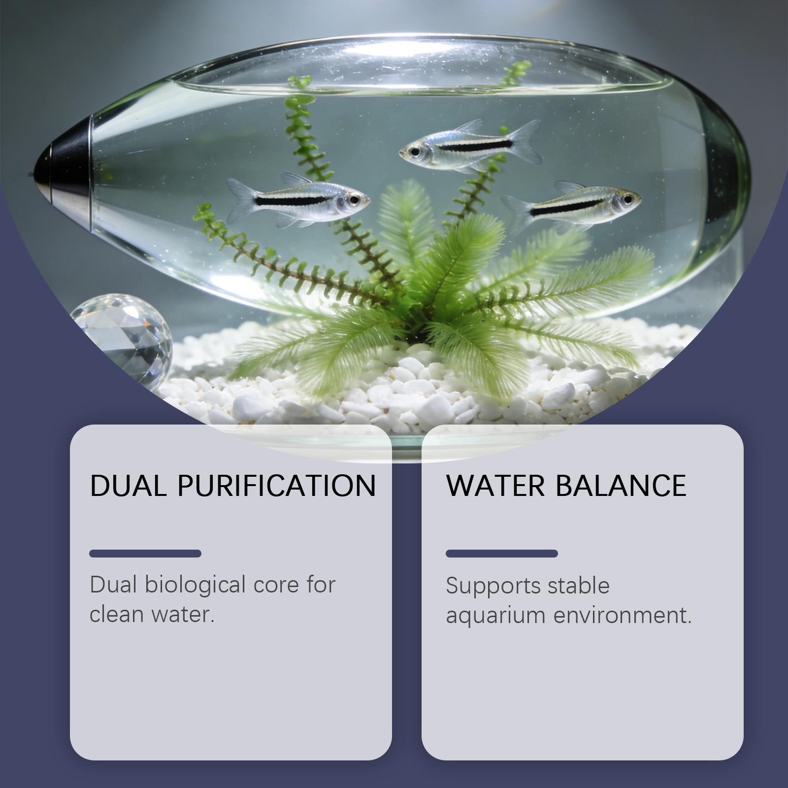 Algae Remover Tablets for Aqua - Planted Aquarium Cloudy Water recension och pris