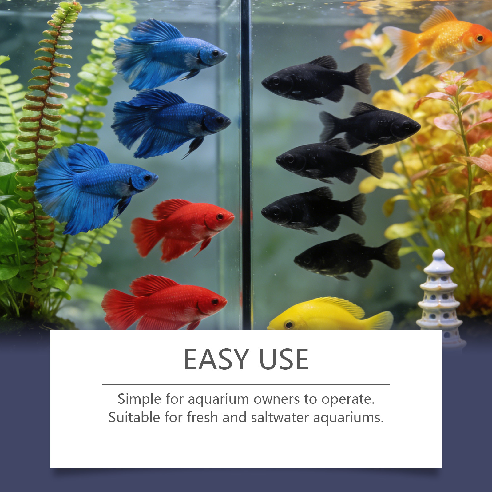 Algae Remover Tablets for Aqua - Planted Aquarium Cloudy Water recension och pris