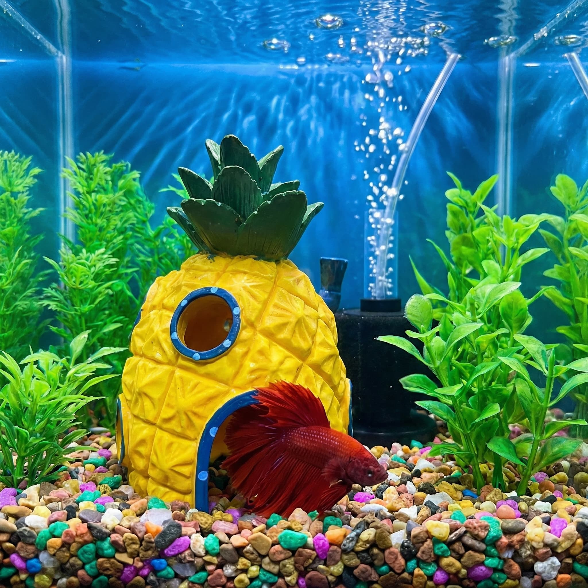 Pineapple House Aquarium Decor - Aquarium Plant Ornament recension och pris