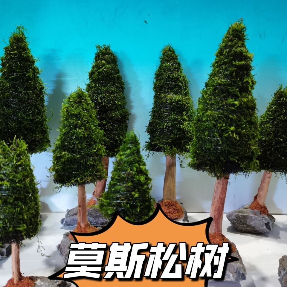 Aquarium Decoration Aquatic Pl - Aquarium Plant Seeds recension och pris