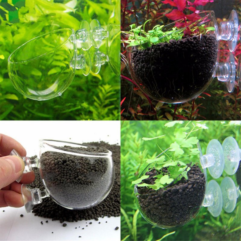 Aquarium Hanging Plant Pot Gla - Aquarium Plant Seeds recension och pris