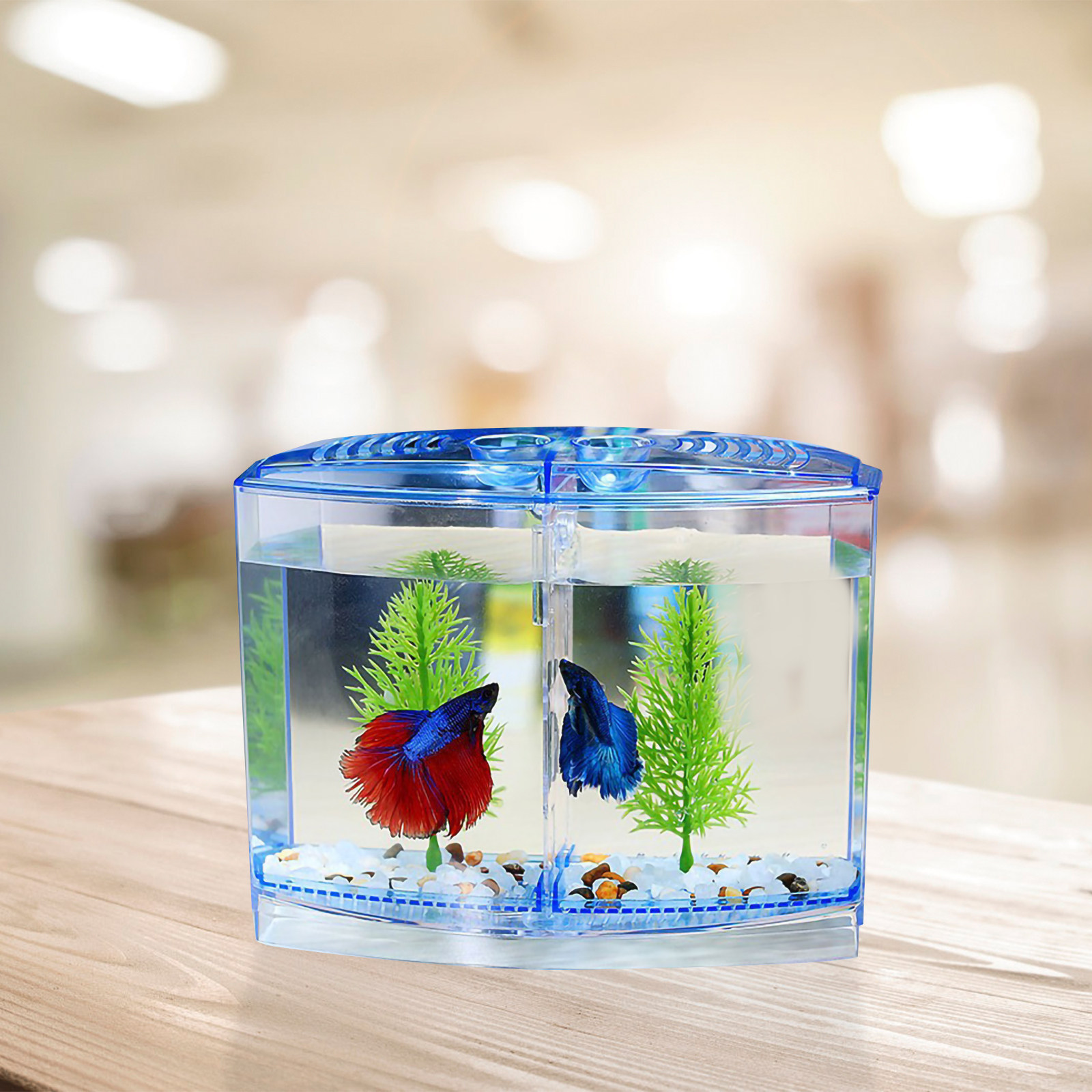 1Set Elegant Transparent Acryl - Planted Aquarium For Goldfish recension och pris