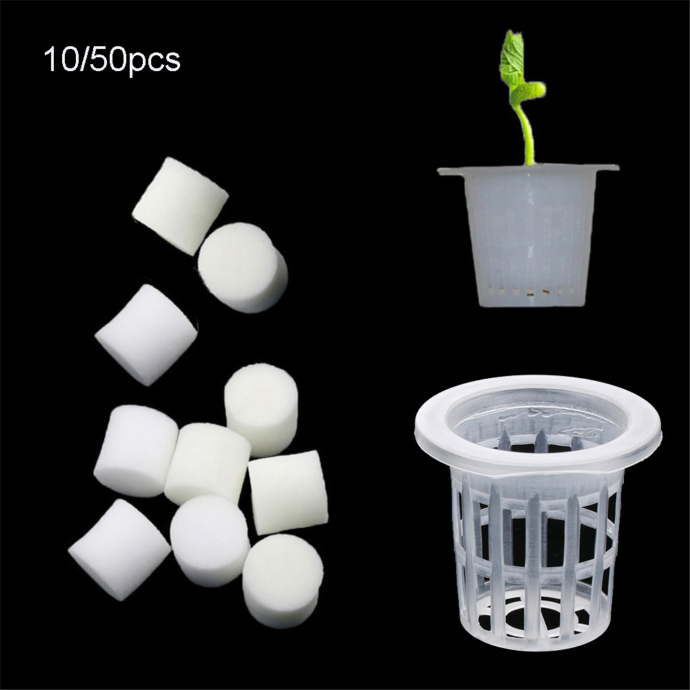 10/50pcs Durable Planting Aqua - Aquarium Plant Seeds recension och pris