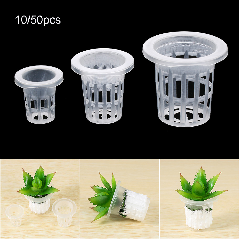 10/50pcs Durable Planting Aqua - Aquarium Plant Seeds recension och pris