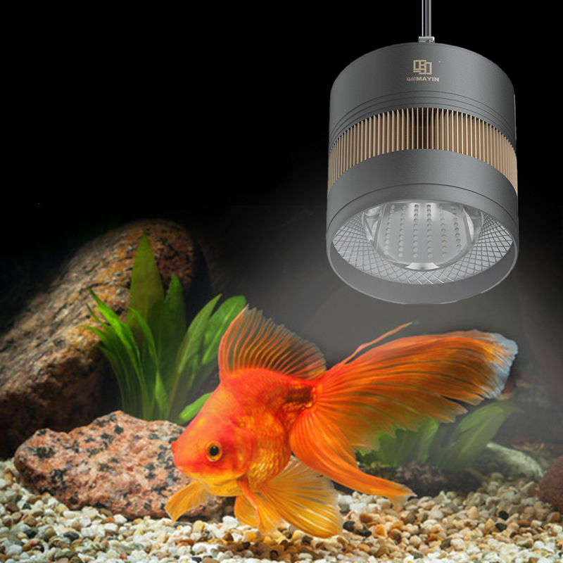 MAYIN Aquarium Full Spectrum L - Planted Aquarium For Goldfish recension och pris
