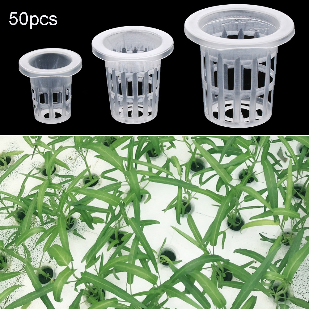 10/50pcs Garden Supplies Plant - Aquarium Plant Seeds recension och pris
